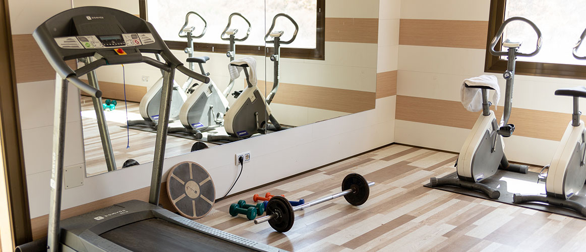 gimnasio máquinas