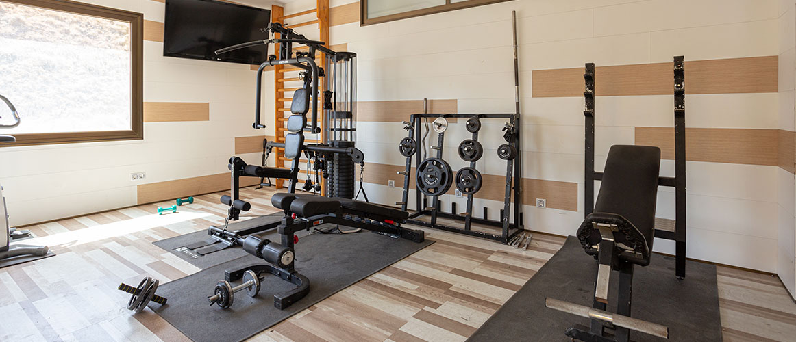 gimnasio máquinas