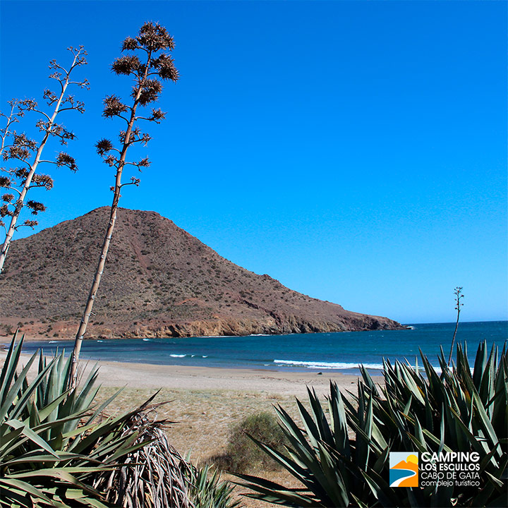 Nuestro entorno: El Parque Natural de Cabo de Gata-Níjar, ¡un paraíso natural y protegido!