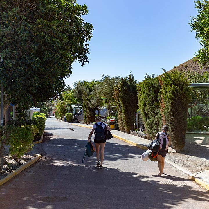 Camping Los Escullos se postula en el ‘Top 5’ de mejores campings de Andalucía Y es que son muchos los que prefieren días de descanso rodeados de naturaleza y bajo el ambiente especial con el que cuenta el complejo turístico de Los Escullos. El aumento constante de visitantes al camping es testimonio de la calidad y el atractivo de su oferta. Muchos clientes regresan año tras año, atraídos por la tranquilidad de la naturaleza, la diversidad de actividades para todas las edades, y la excelente gastronomía ofrecida en su restaurante.