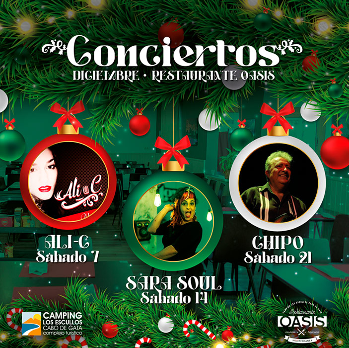 Conciertos durante el mes de diciembre en el camping